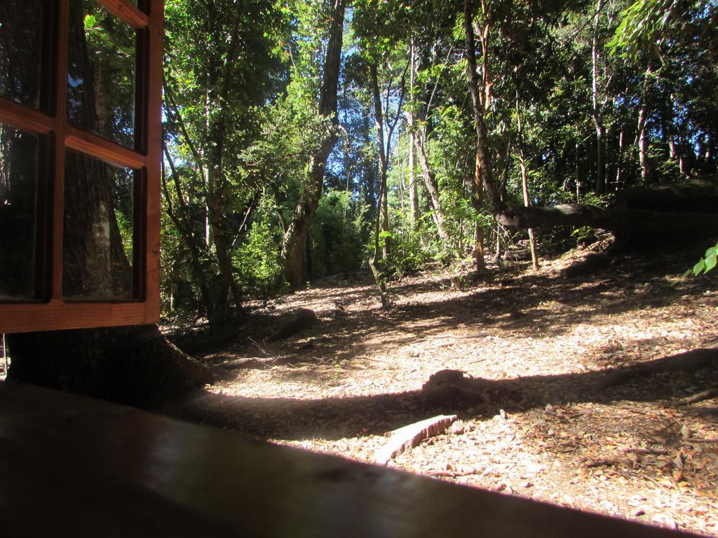 Cabana Rustica Patagonia Chilena Coñaripe Quarto foto