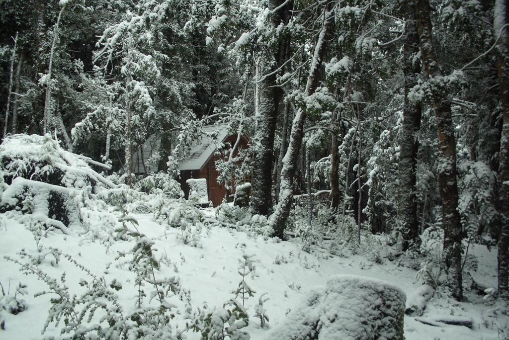 Cabana Rustica Patagonia Chilena Coñaripe Quarto foto