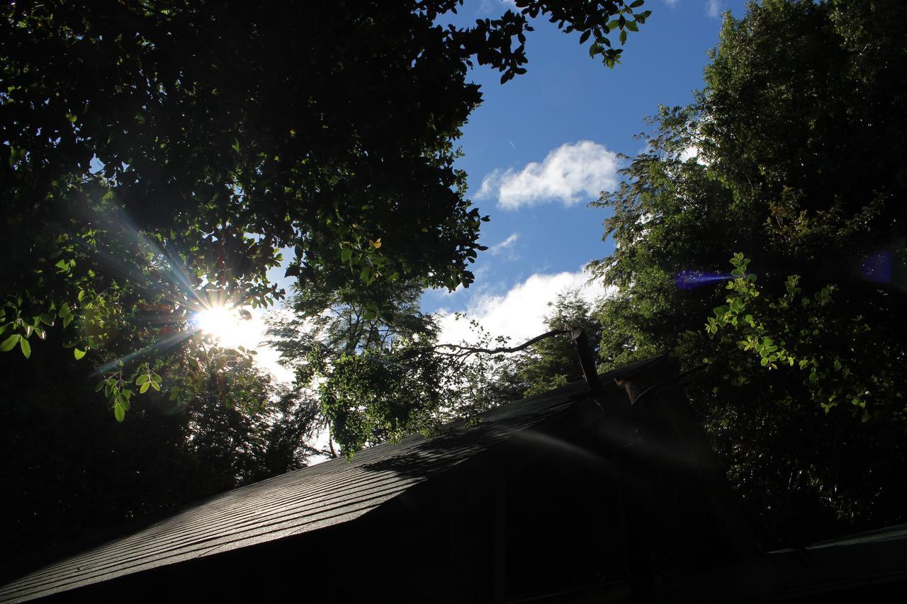 Cabana Rustica Patagonia Chilena Coñaripe Exterior foto