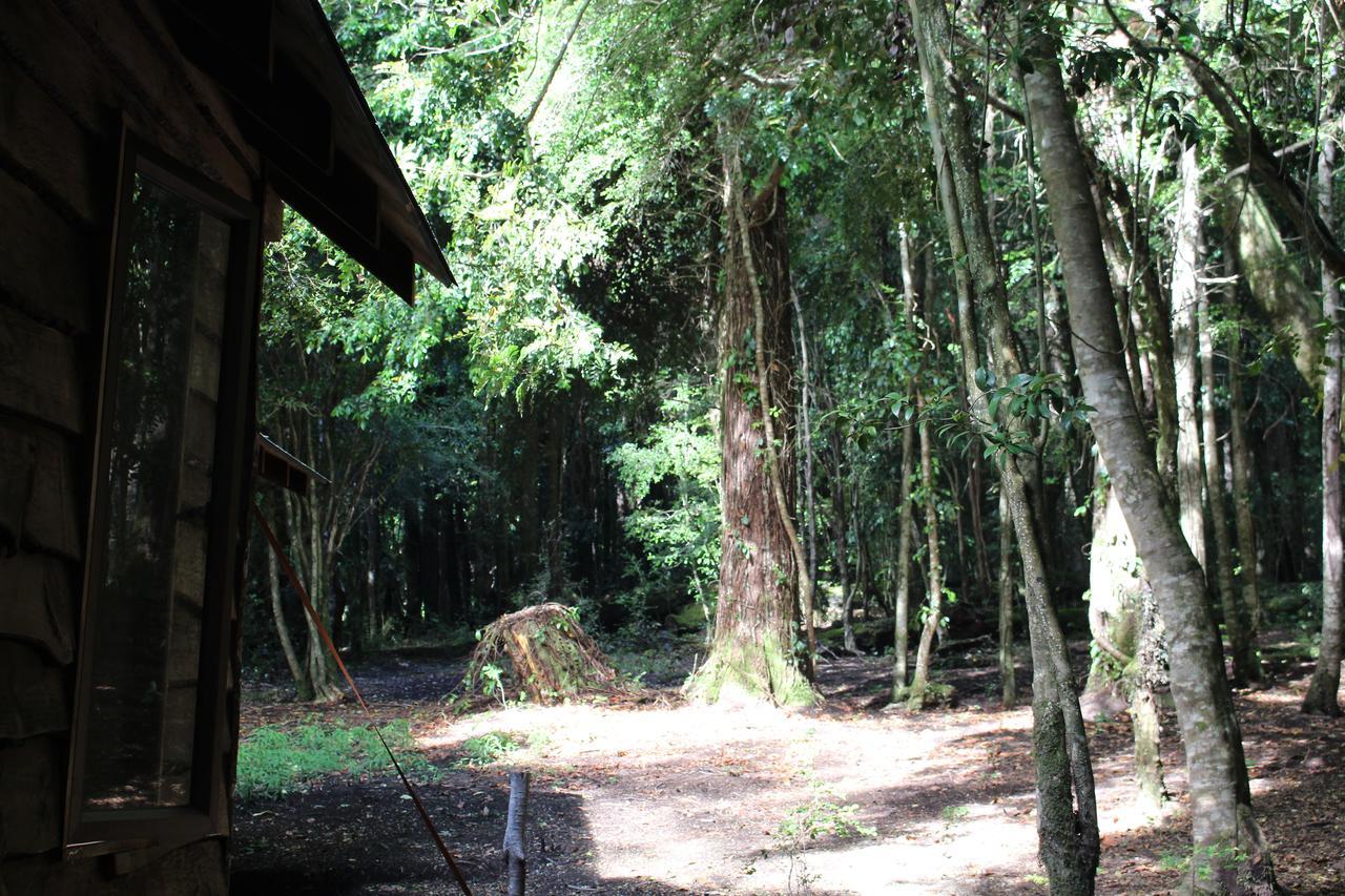 Cabana Rustica Patagonia Chilena Coñaripe Exterior foto