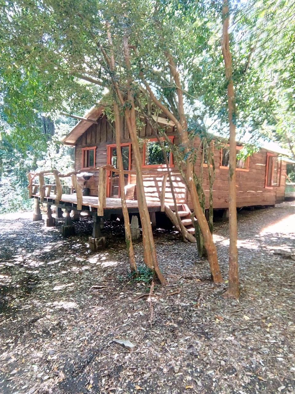 Cabana Rustica Patagonia Chilena Coñaripe Exterior foto